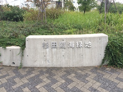 杉田臨海緑地公園イメージ画像5