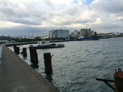 根岸港イメージ画像3
